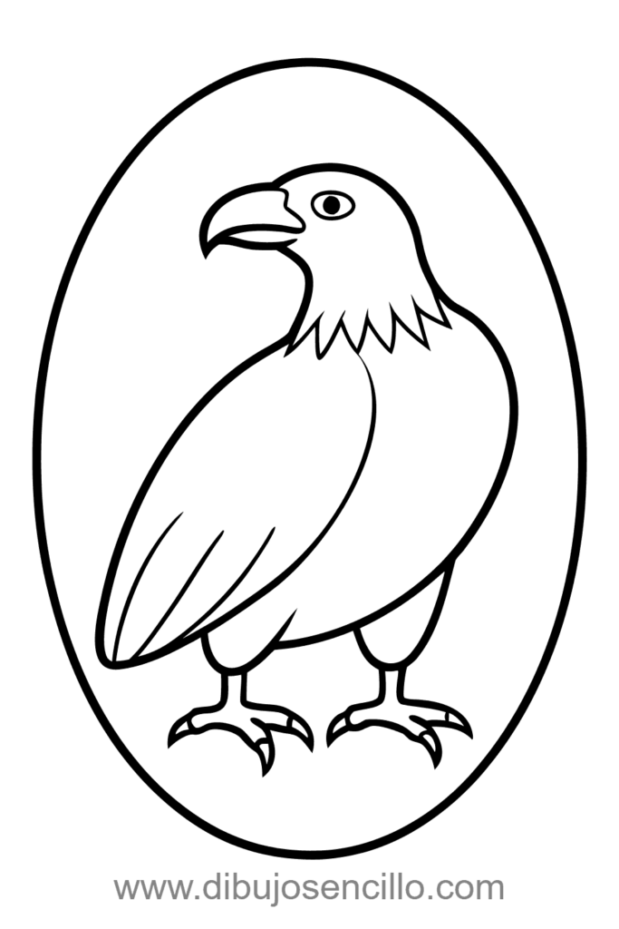 Dibujo sencillo de águila majestuosa con alas abiertas extendidas, pico curvo gancho y cuerpo ovalado grande, estilo minimalista en blanco y negro.