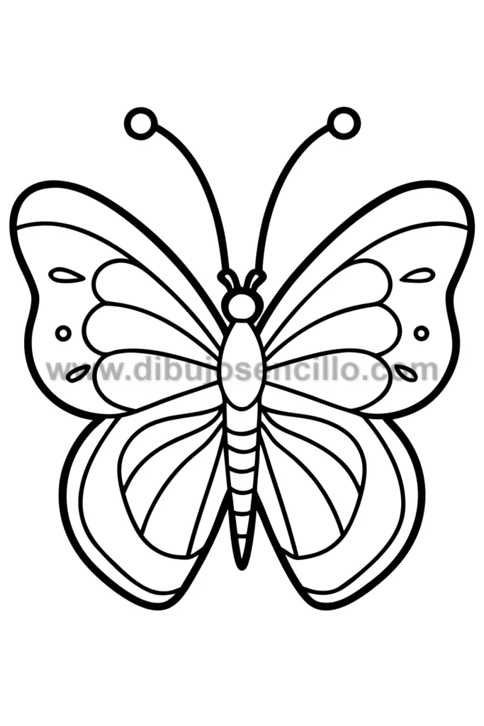 2--mariposa-simétrica-floral