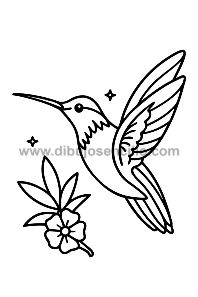 4--colibrí-con-flor-tropical