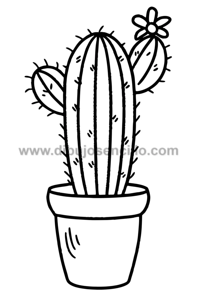 8--cactus-con-flores-en-maceta