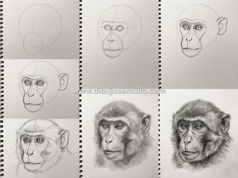Tutorial_dibujar_mono_grafito_202607061300